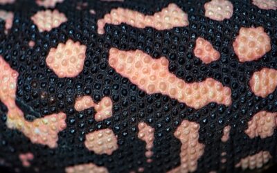 Más Allá del Cuero: Descubre el Fascinante Mundo de las Pieles Exóticas